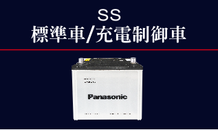 Panasonic汽車電池SS